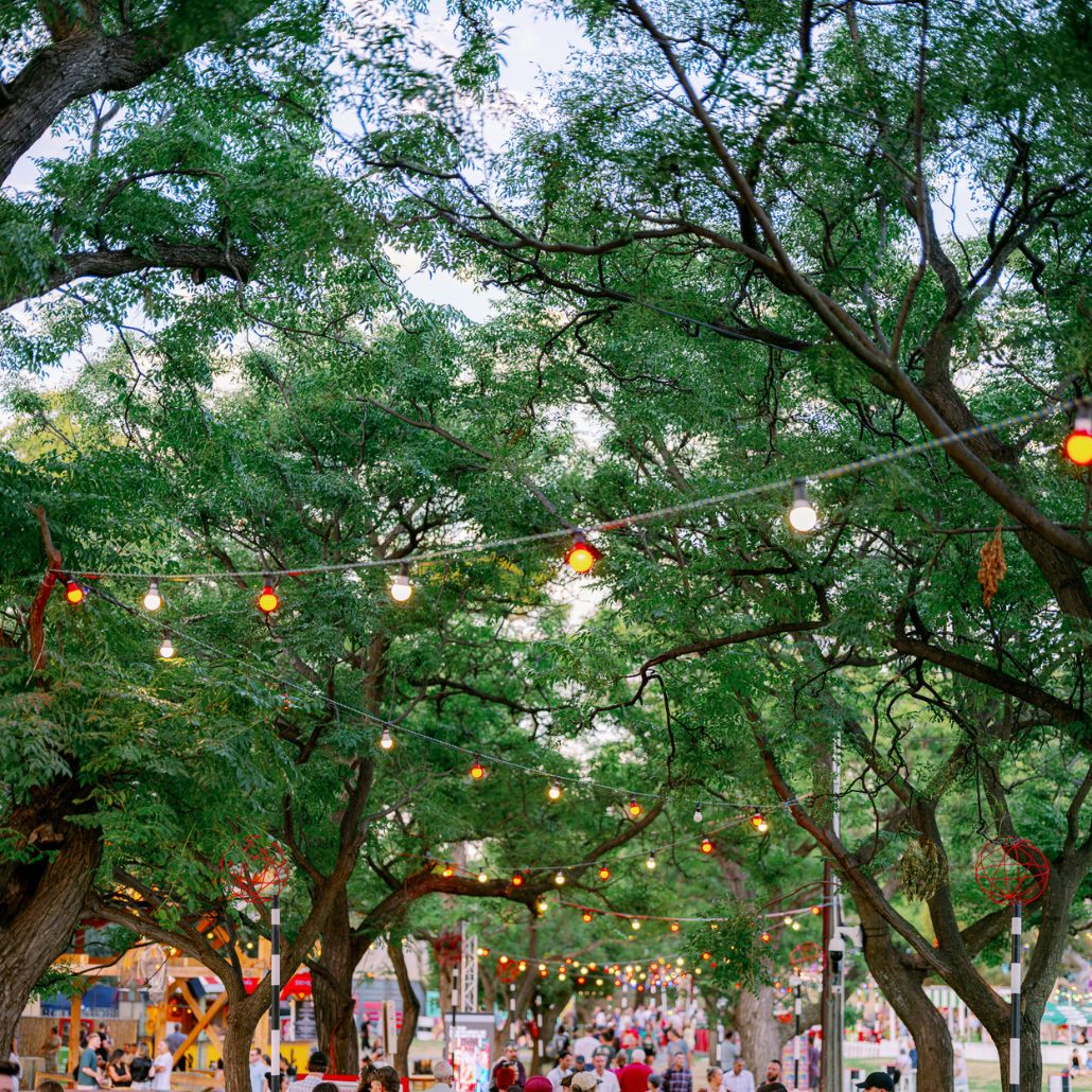 Festoon lights hung through trees with a crowd walking below